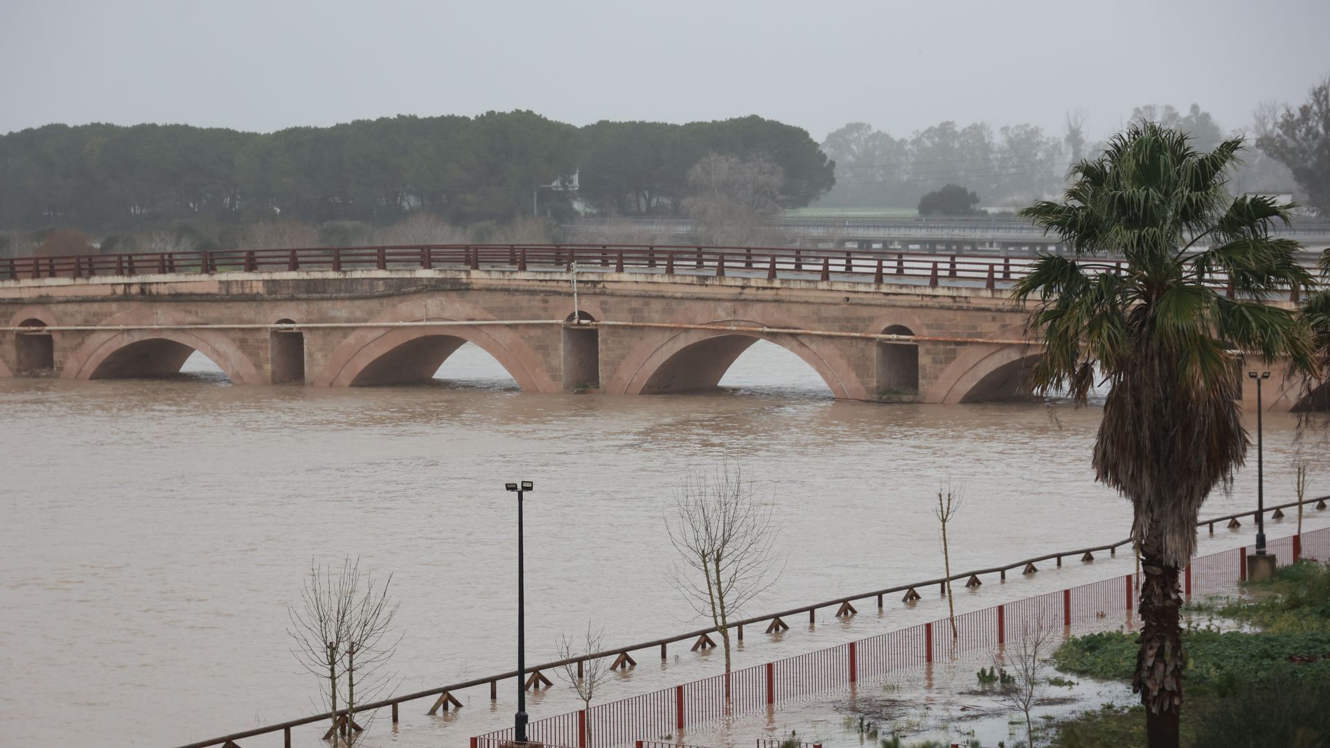 Amenaza en Jerez: la red de saneamiento se colapsa y podría inundarse el casco histórico
