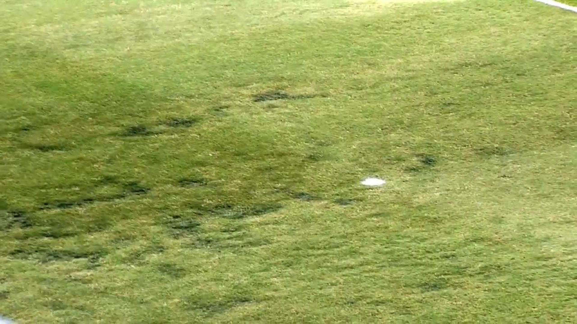 El césped de Vallecas