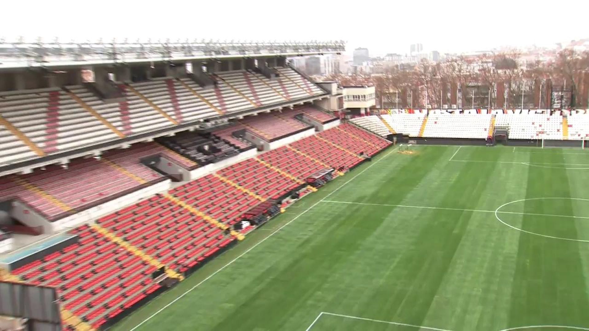 El césped del Estadio de Vallecas