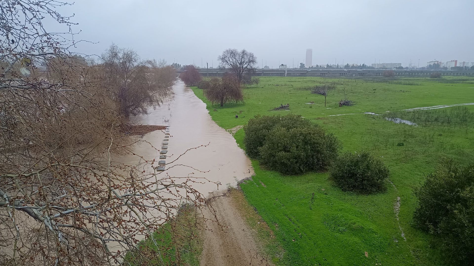 El Guadalquivir, a la altura del Puente de Hierro entre San Juan y Sevilla