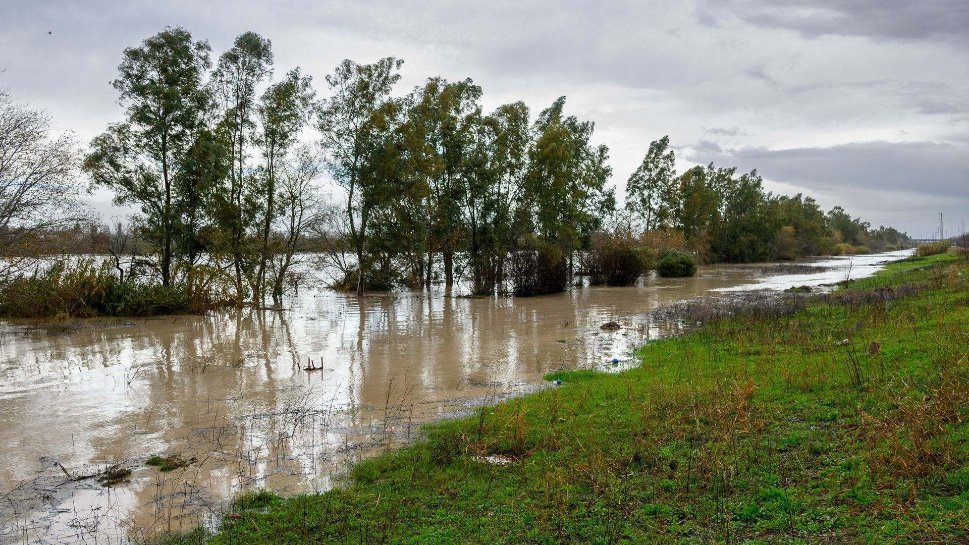 Vista de la zona del Charco de la Pava, a escasos metros del cauce del Guadalquivir