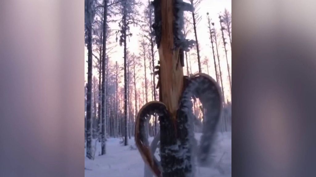 'Cuarto Milenio' aclara la razón por la que hay árboles estallando de forma repentina en Estados Unidos Cuarto Milenio Temporada 21 Top Vídeos 763