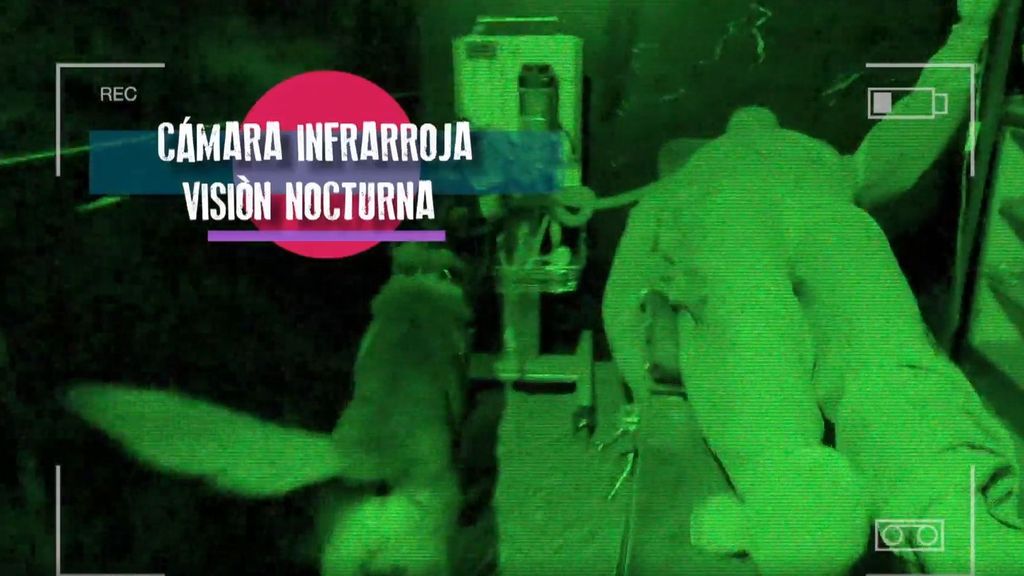 P303 - Los perros de detección Iumiuky Temporada 3 Programa 303