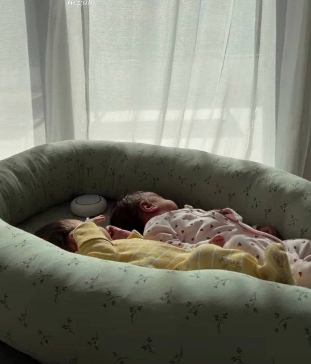 Los mellizos de Estela Grande en el nido