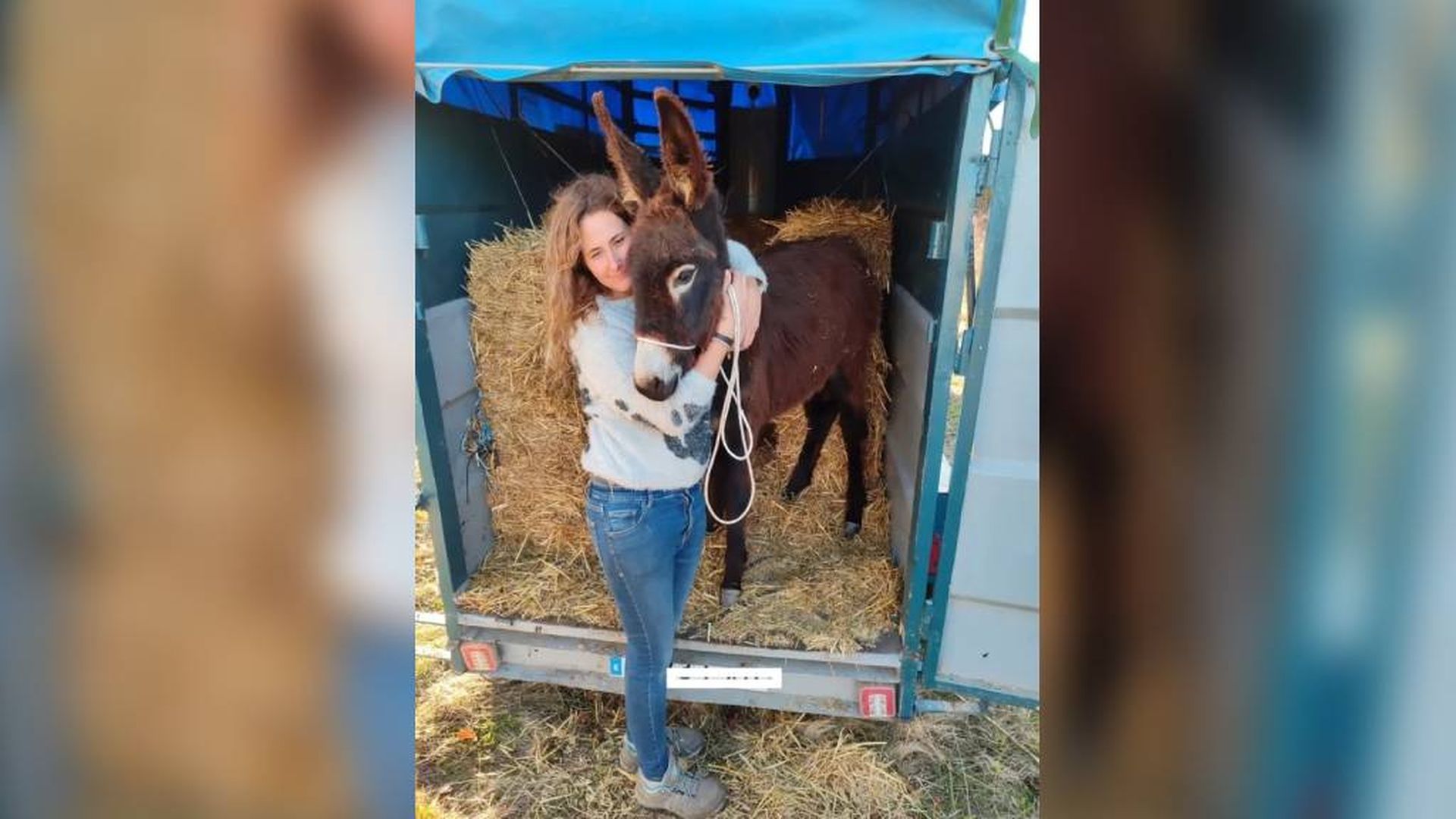 Mónica Pineda Puras, dueña de 'Pablete', el burro de ocho meses intervenido con una cirugía inédita en España para salvarlo