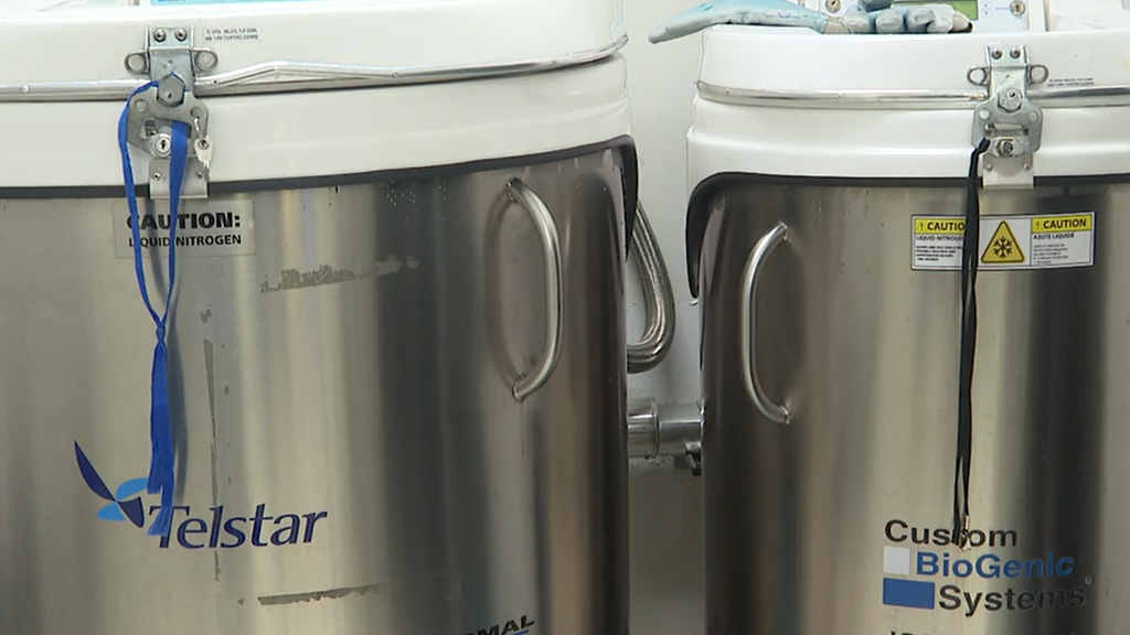 Congelar hoy para ser madre mañana: la carrera contra el reloj biológico que cada vez empieza antes