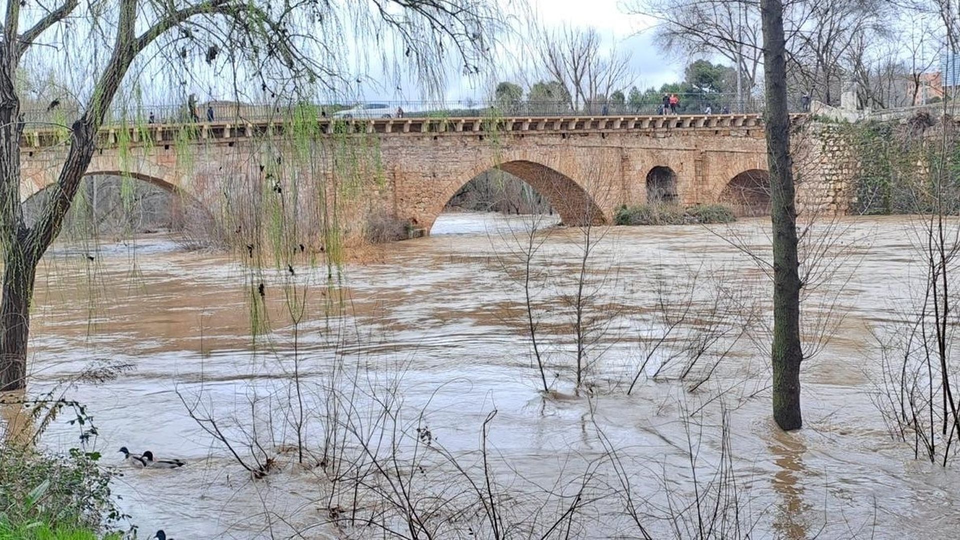 El caudal del río Henares ha alcanzado el umbral rojo a su paso por Guadalajara