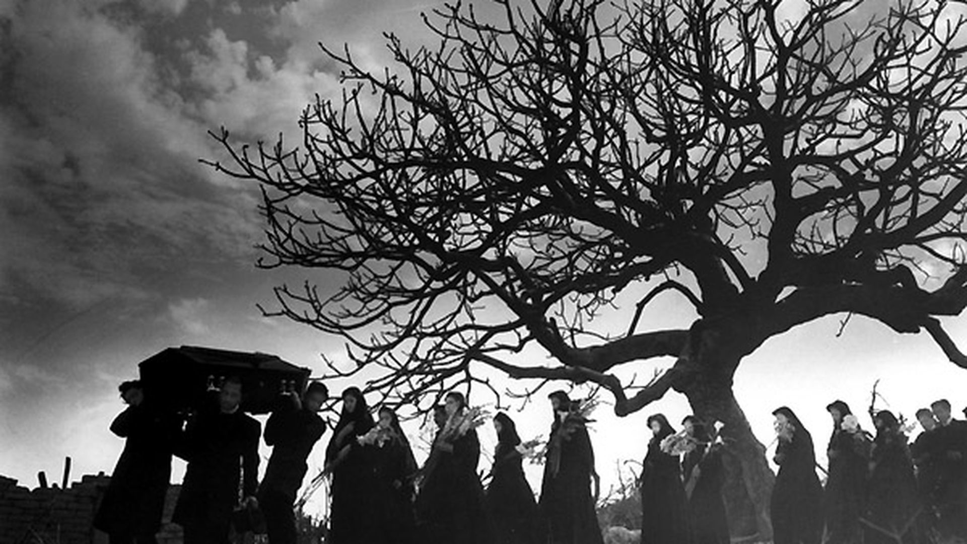 Abismos de pasión 2