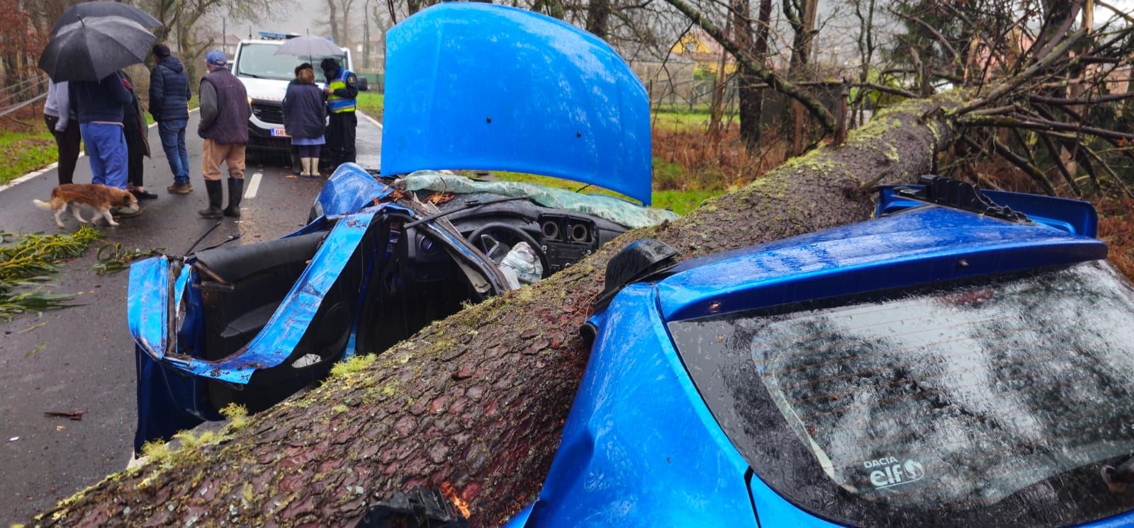 El coche quedó completamente destrozado por el impacto
