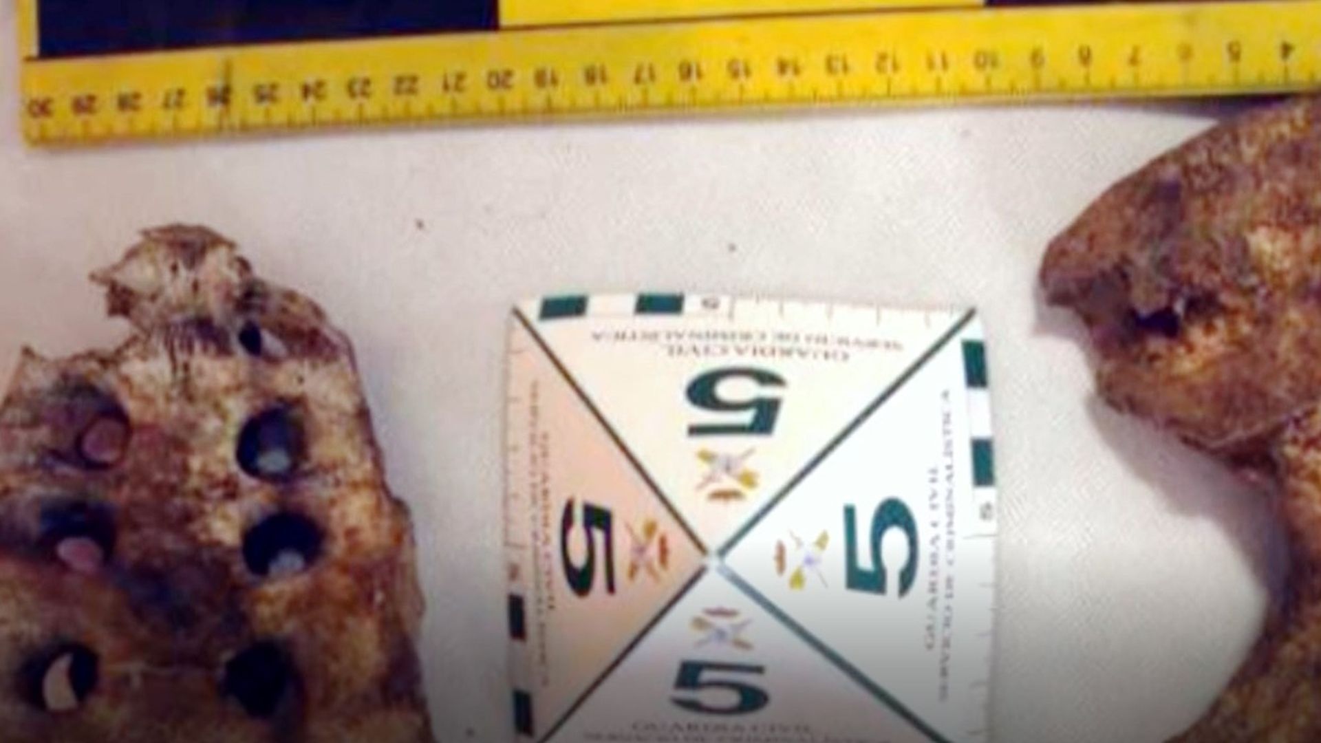 Huesos de mujer encontrados en una maleta