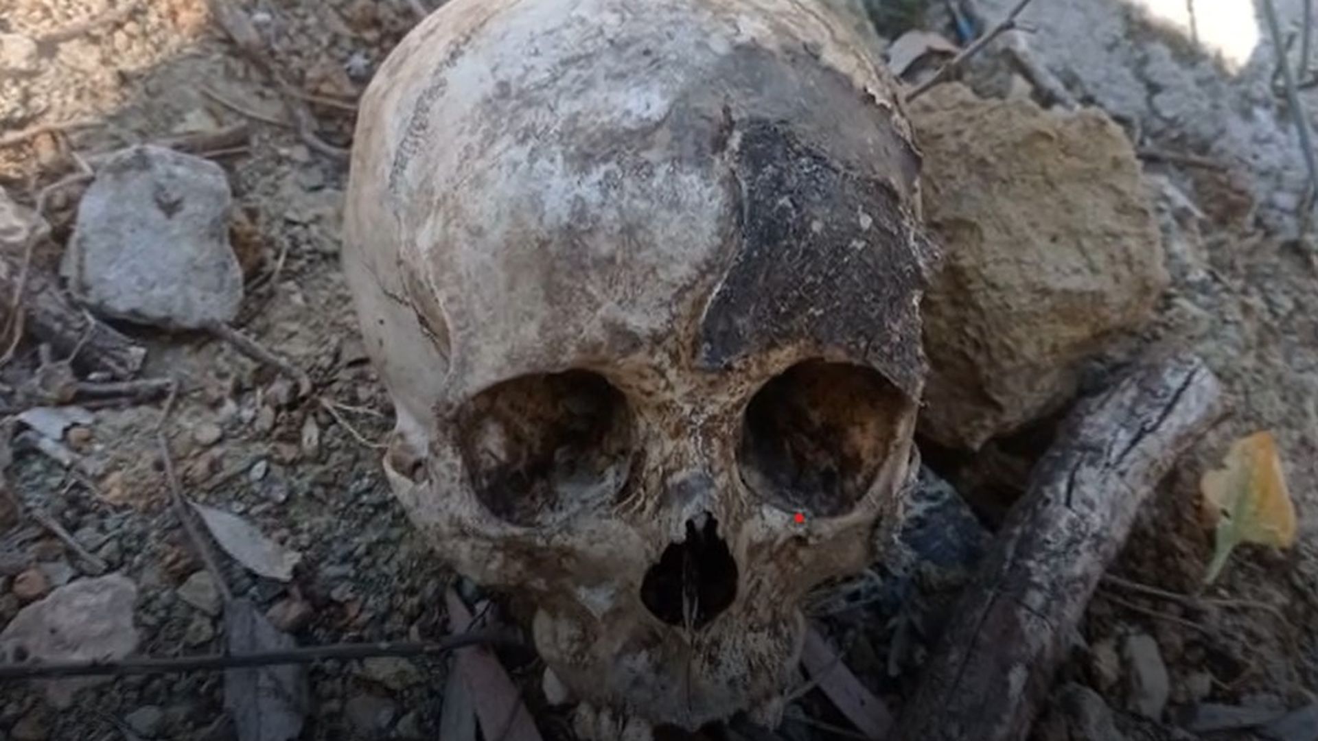 Identificar el rostro tras este cráneo, una tarea compleja