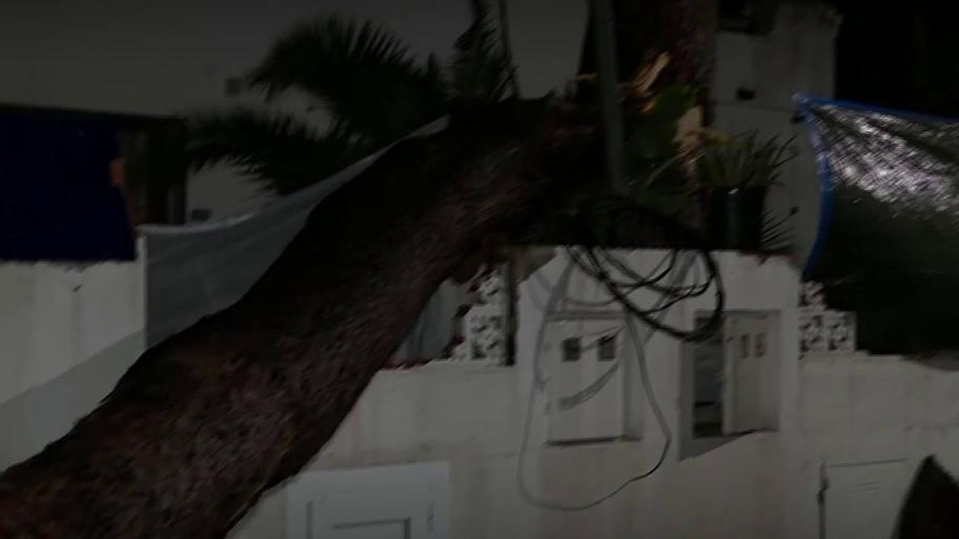 Las fuertes rachas de viento sacuden Barcelona con efectos que aún permanecen en las calles