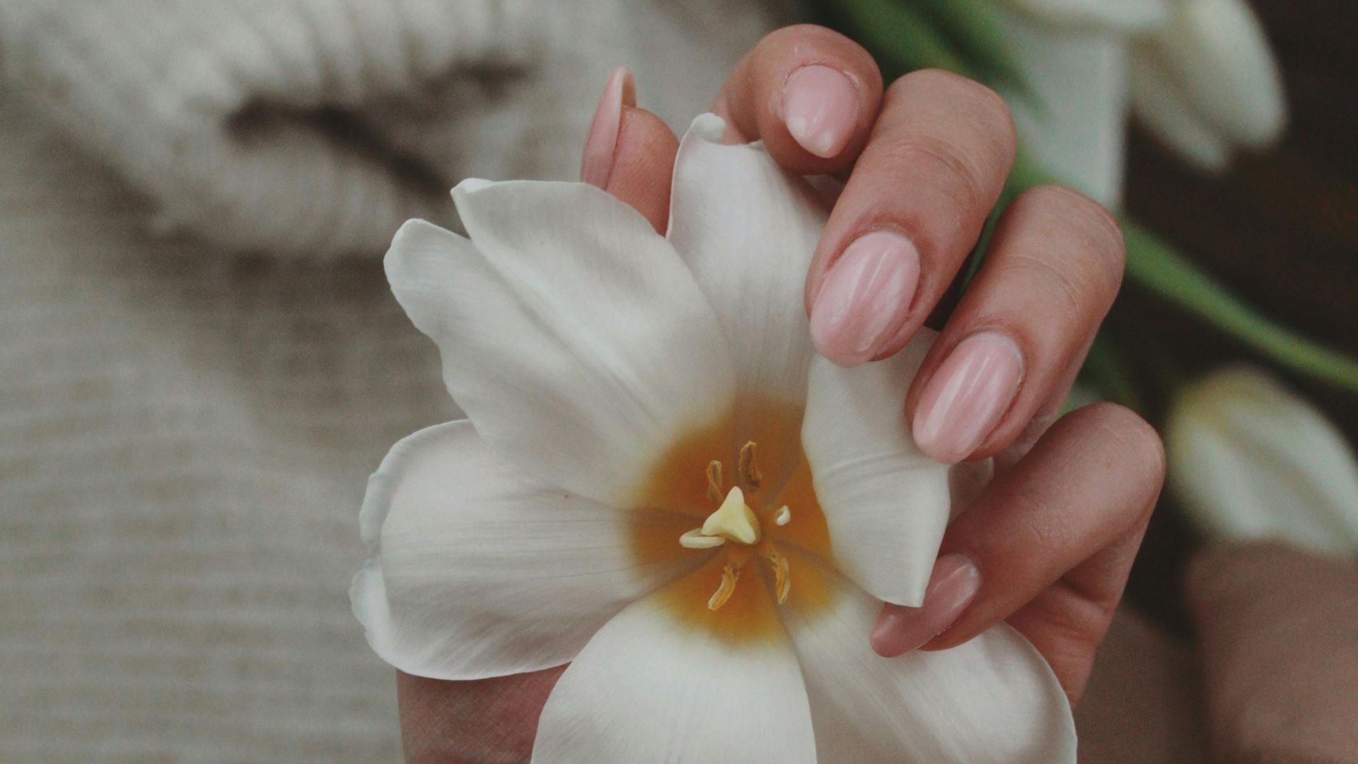 Las uñas soft gel se pueden quitar sin acetona Las uñas soft gel se pueden quitar sin acetona