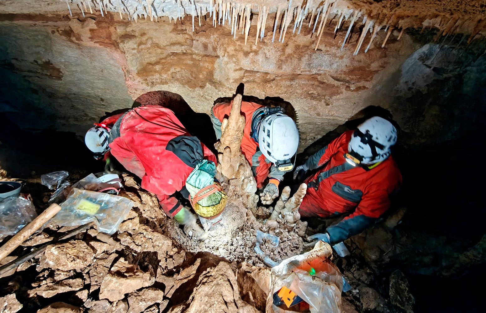 Los investigadores excavan los restos del león en la cueva de Arrafela