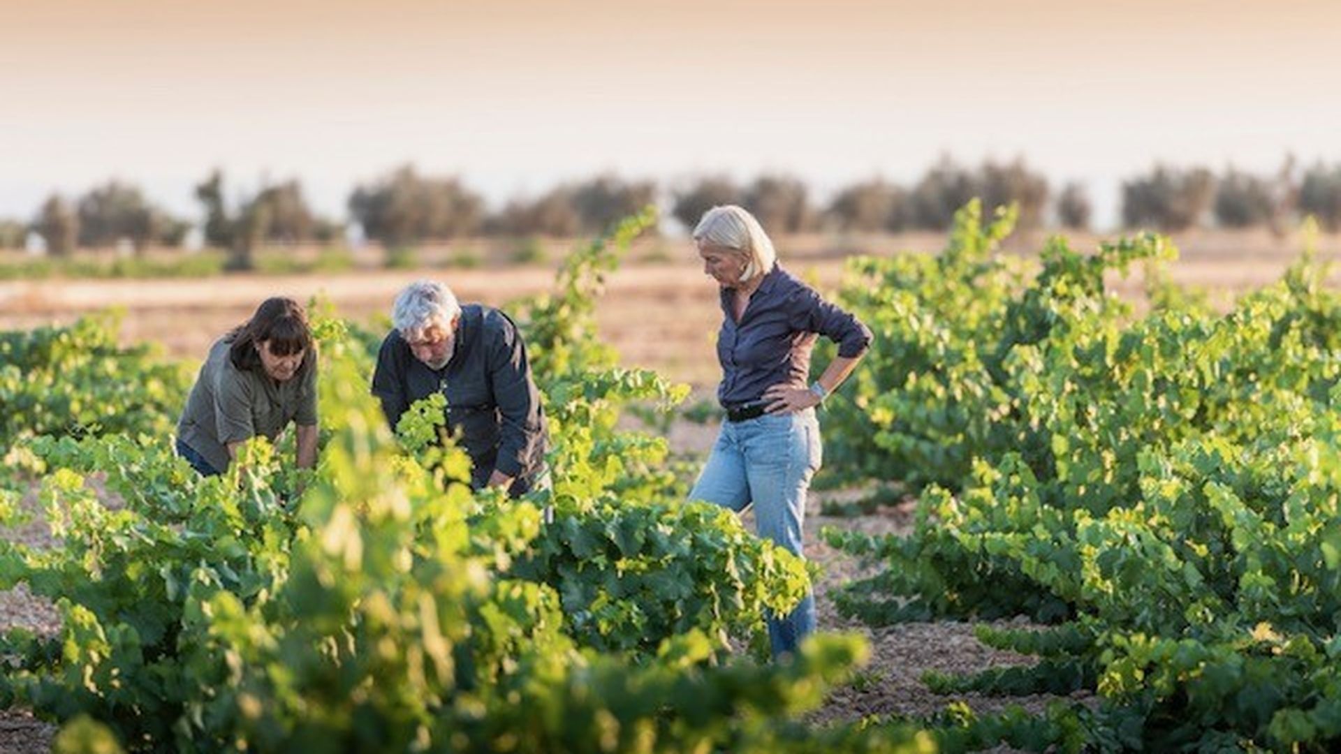 Margarita, Gonzalo y Alexandra, creadores de este vino blanco Margarita, Gonzalo y Alexandra, creadores de este vino blanco