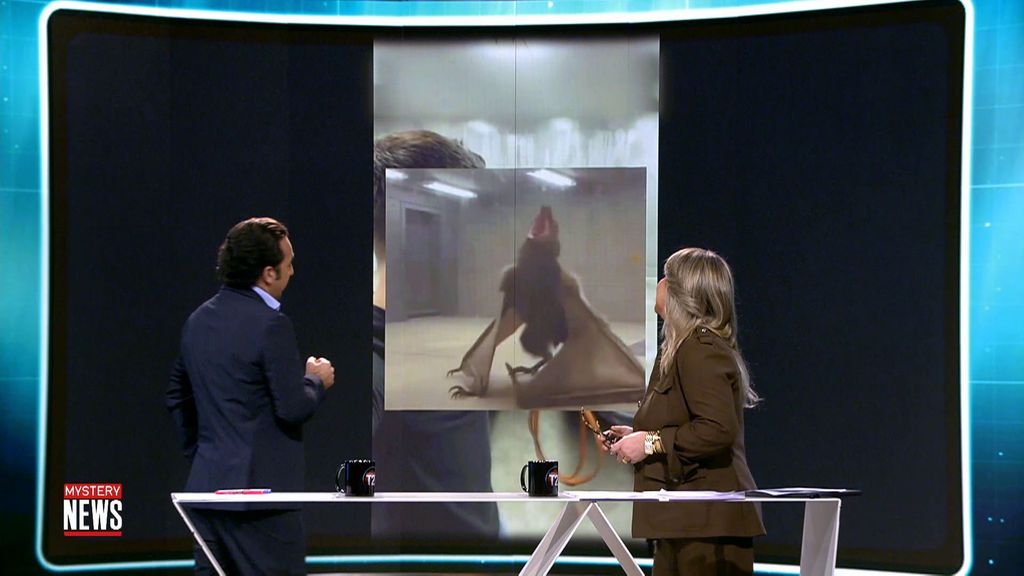El vídeo de un murciélago zorro gigante provoca debate en 'Cuarto Milenio': ¿IA o imagen real? Cuarto Milenio Temporada 21 Top Vídeos 768