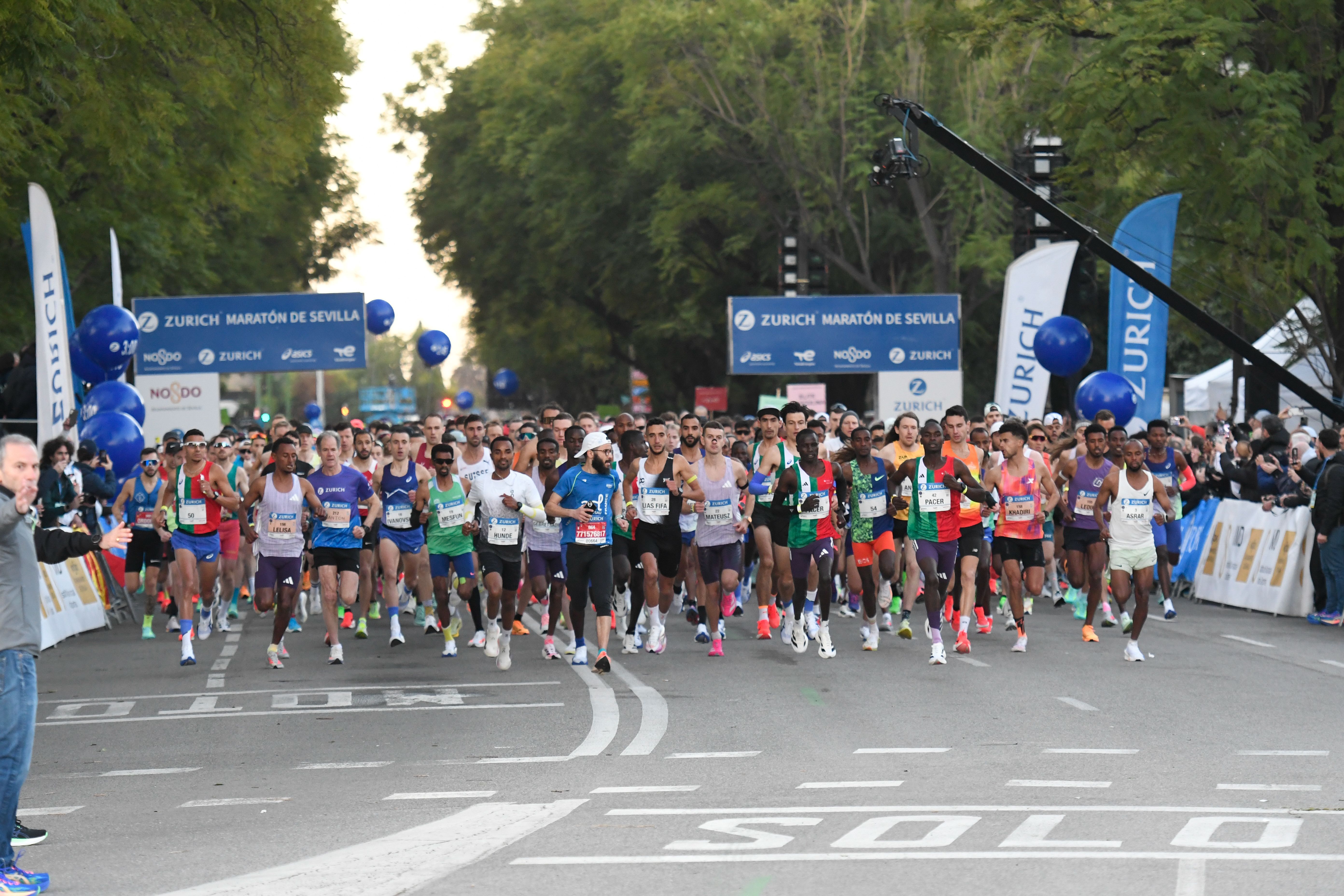 Mejores imágenes de la Zurich Maratón de Sevilla