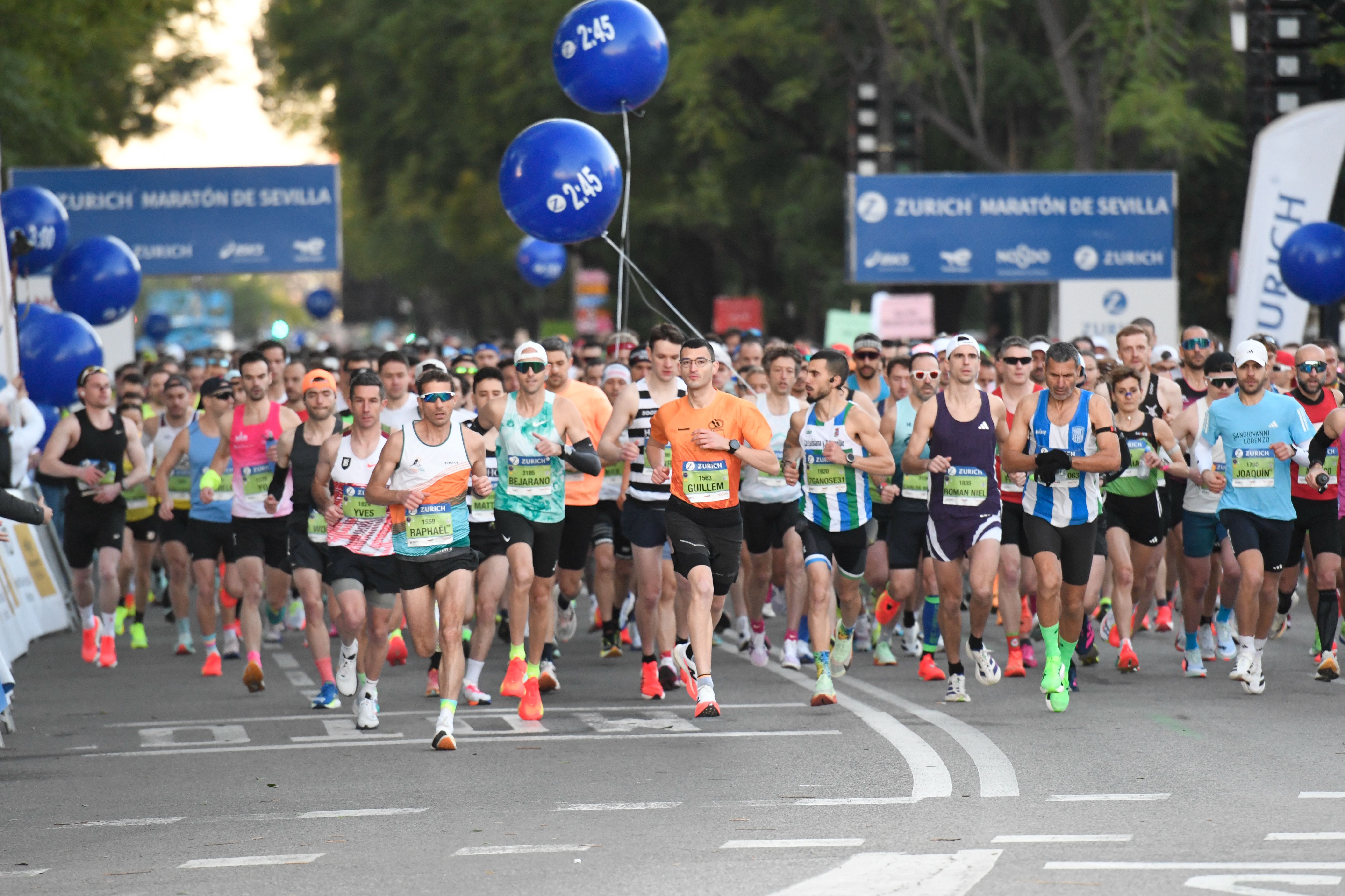 Mejores imágenes de la Zurich Maratón de Sevilla