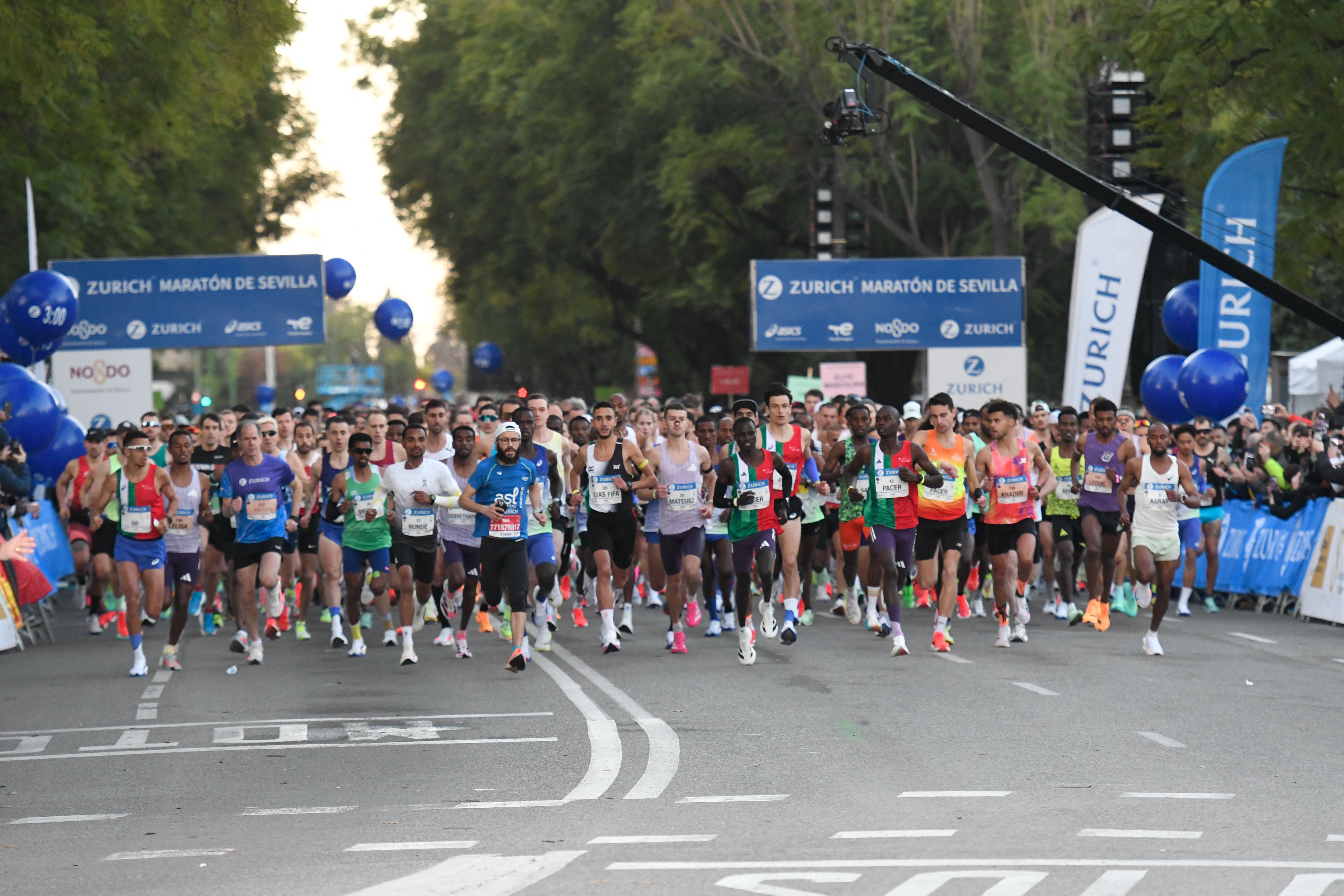 Mejores imágenes de la Zurich Maratón de Sevilla