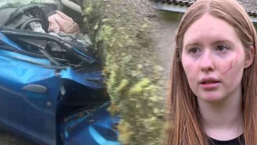 El relato de Noa, la joven a la que le cayó un pino de tres toneladas sobre su coche: "No fui consciente, no me dio tiempo a actuar"