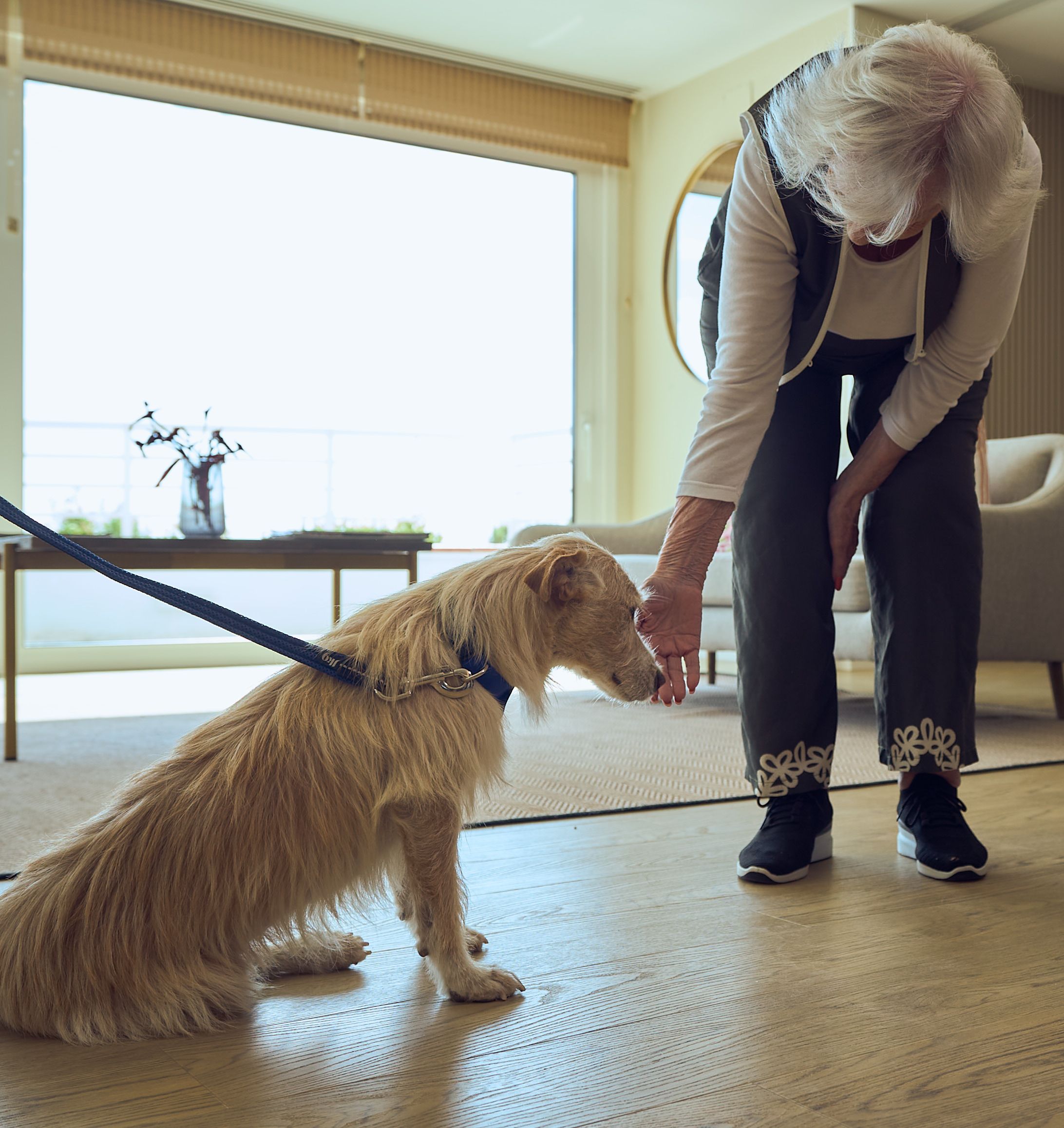 Una usuaria con un perrito