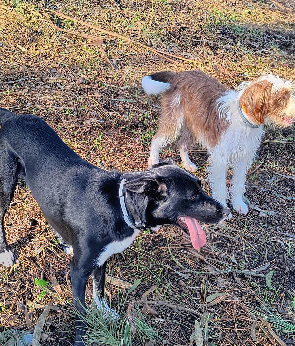 Coco y Orión en una imagen de archivo