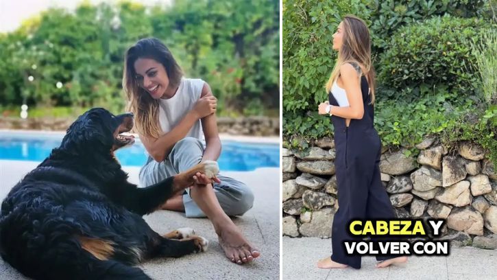 Los jardines son uno de los puntos fuertes de la casa