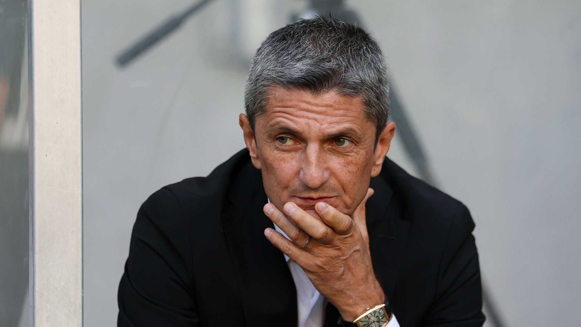 Razvan Lucescu en un partido del PAOK