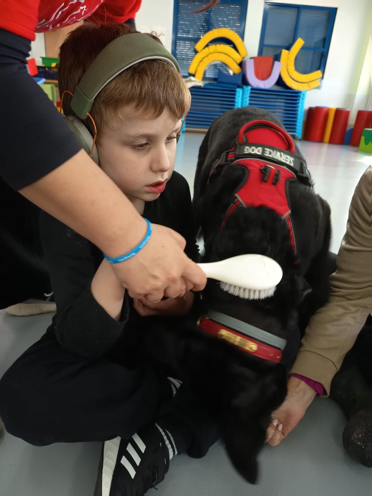 Un niño cepilla a Libertad