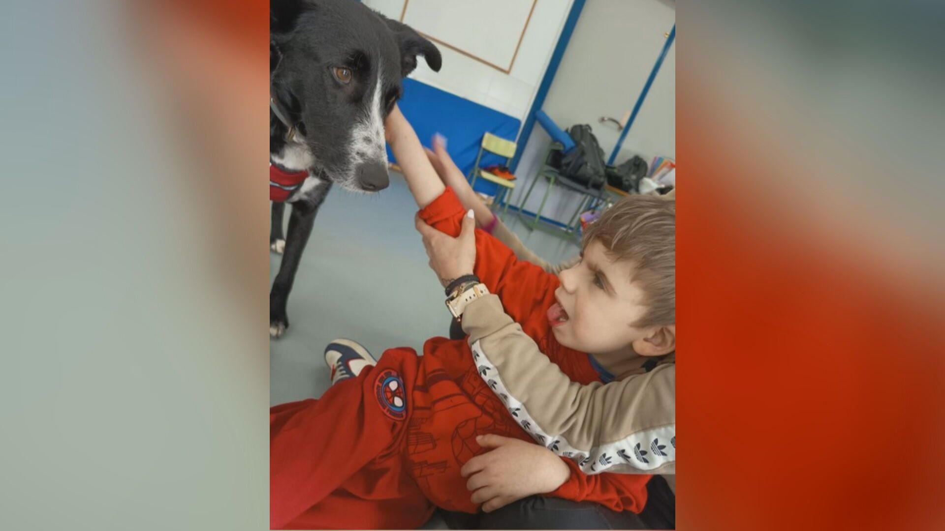 Libertad perra Libertad perra