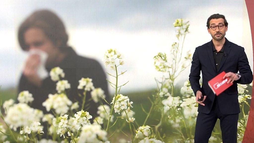 Si eres alérgico los expertos alertan de que te anticipes ya a los síntomas