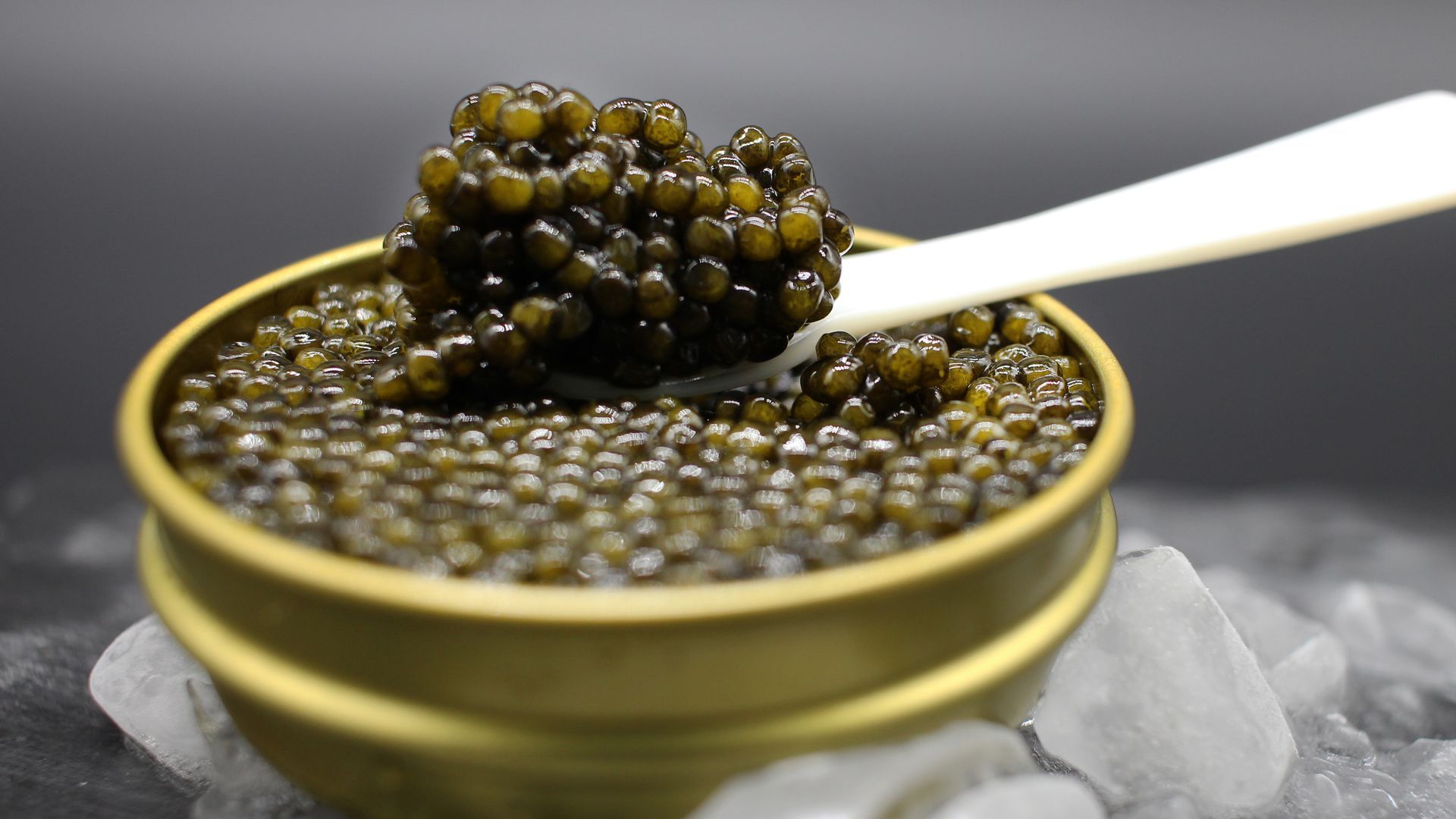 foto-caviar2 foto-caviar2