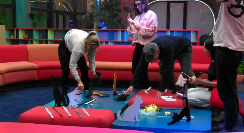 La fiesta de los gatos de oro