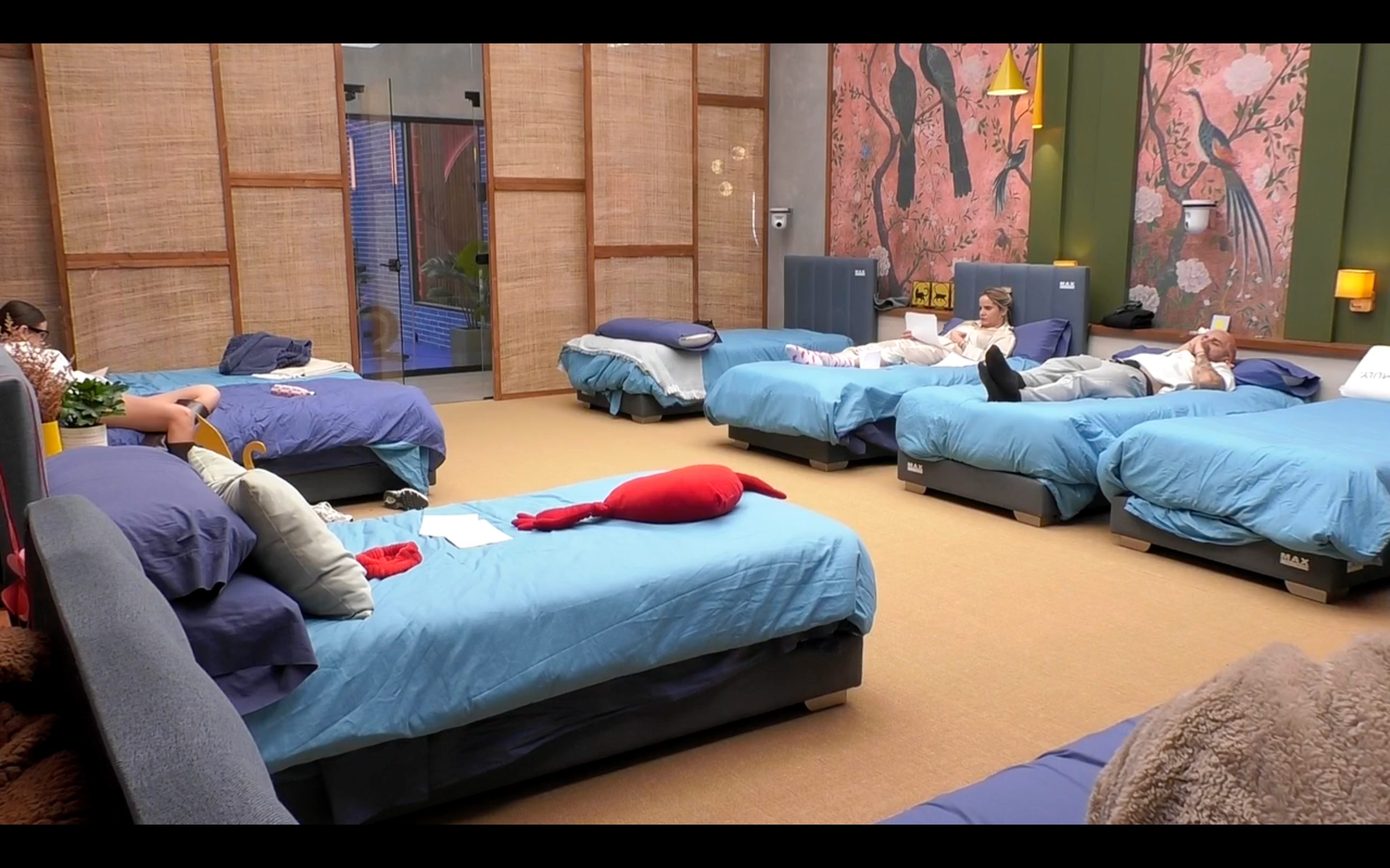 Los concursantes en la habitación