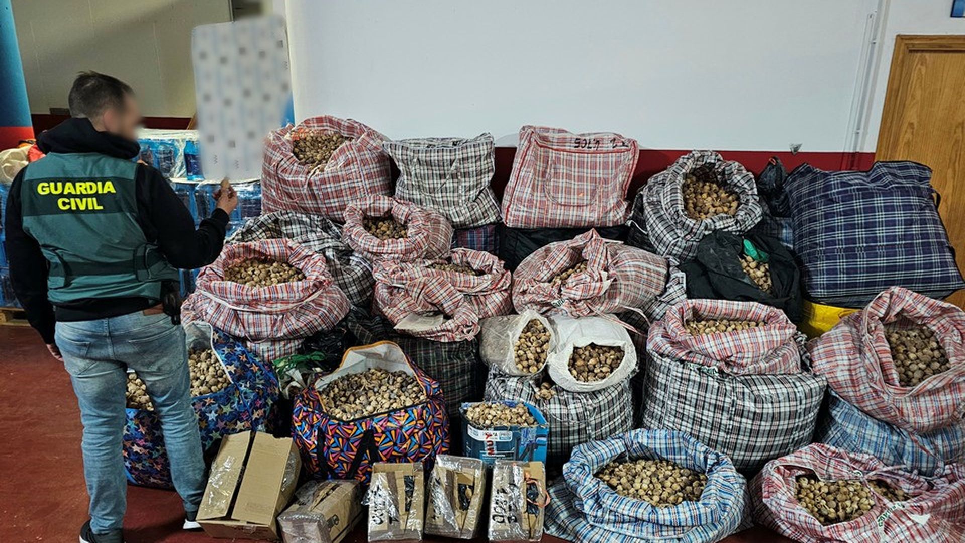 Sacos con amapola real o adormidera incautados en Los Alcázares (Murcia) Sacos con amapola real o adormidera incautados en Los Alcázares (Murcia)