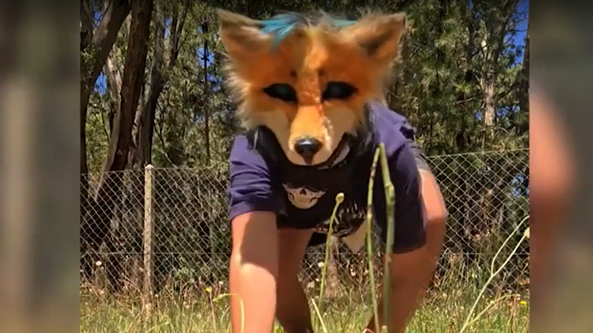 ¿Tu hijo se identifica como un animal? Por qué ser 'therian' no es un trastorno, sino un juego de identidad ¿Tu hijo se identifica como un animal? Por qué ser 'therian' no es un trastorno, sino un juego de identidad