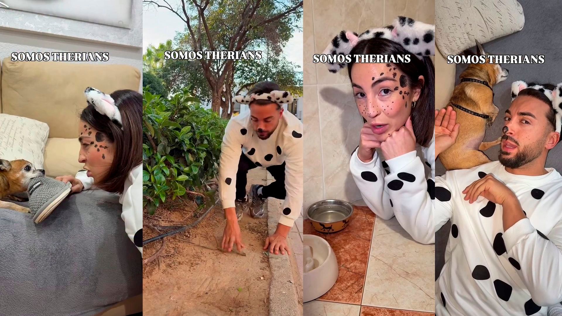 Ana y Borja comportándose como dálmatas