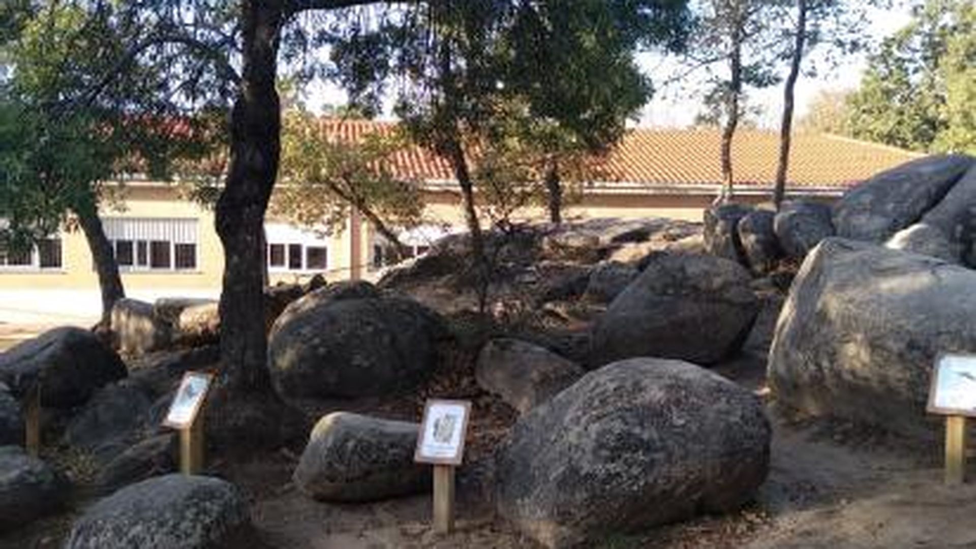 Patio colegio Josefina Carabias