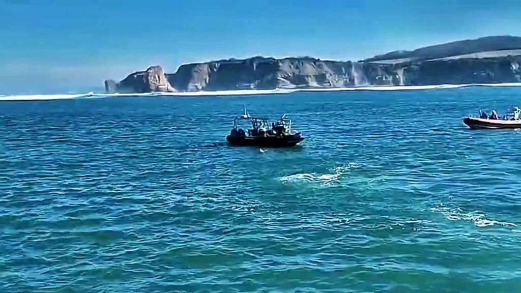 Rescatan en aguas galas un cuerpo que podría ser el del varón que saltó al Bidasoa en Irun