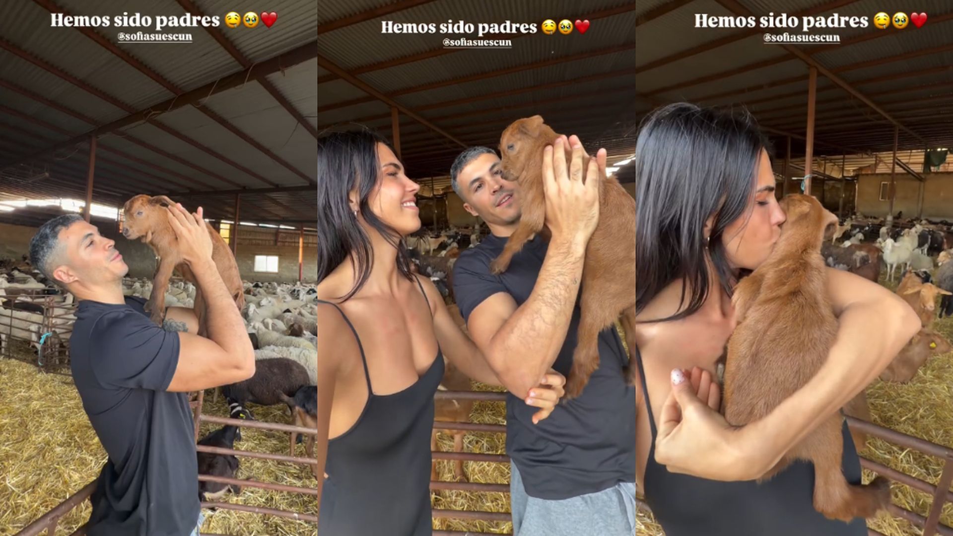 Kiko Jiménez y Sofía Suescun anuncian que han sido "padres" tras visitar una granja