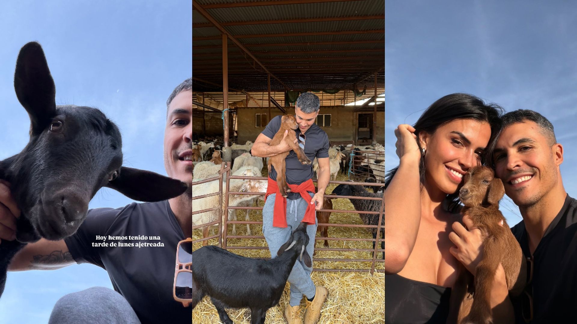 Las imágenes de la visita de Sofía Suescun y Kiko Jiménez a una granja, rodeados de cabras y ovejas