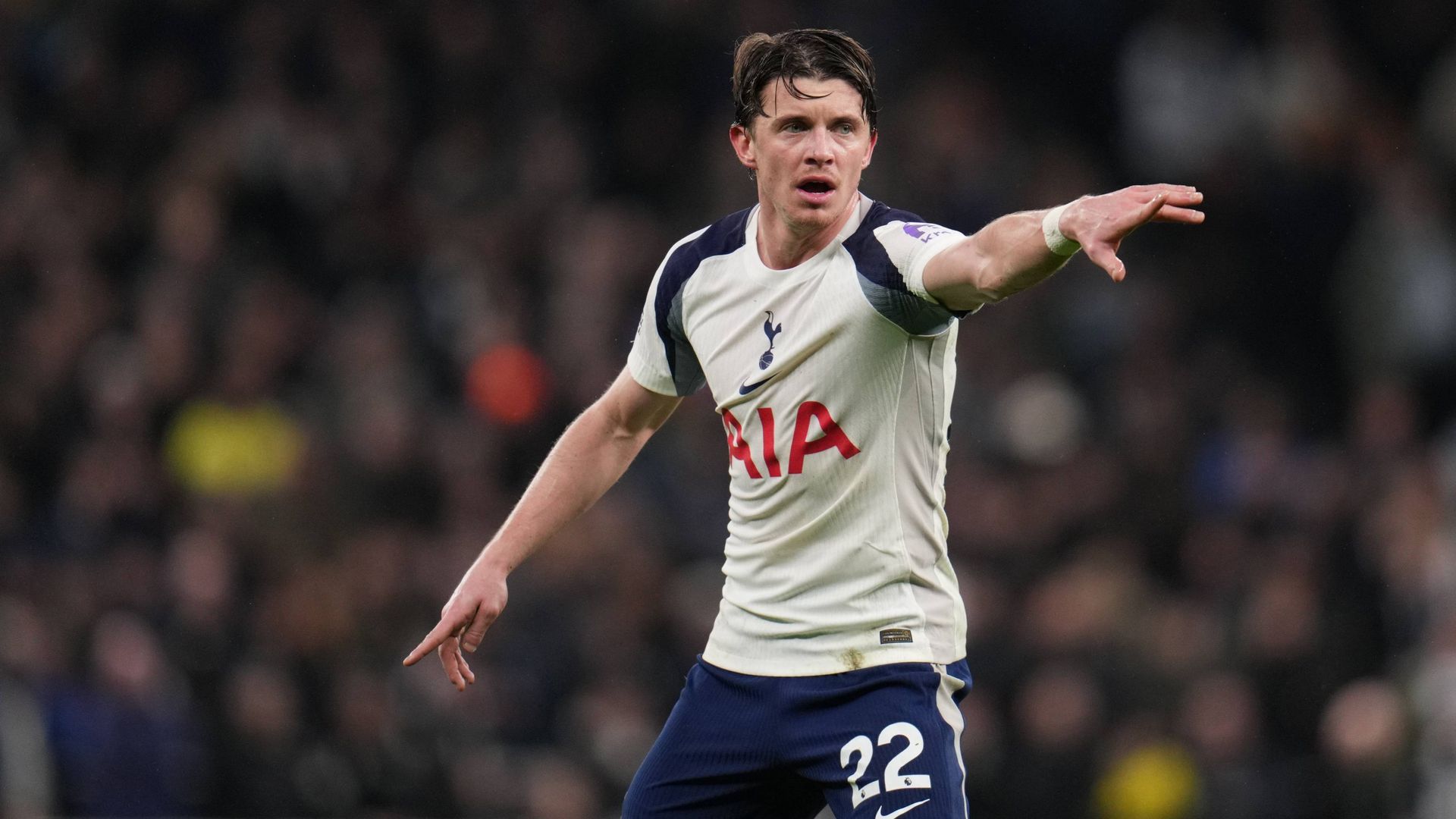 Conor Gallagher en el Tottenham