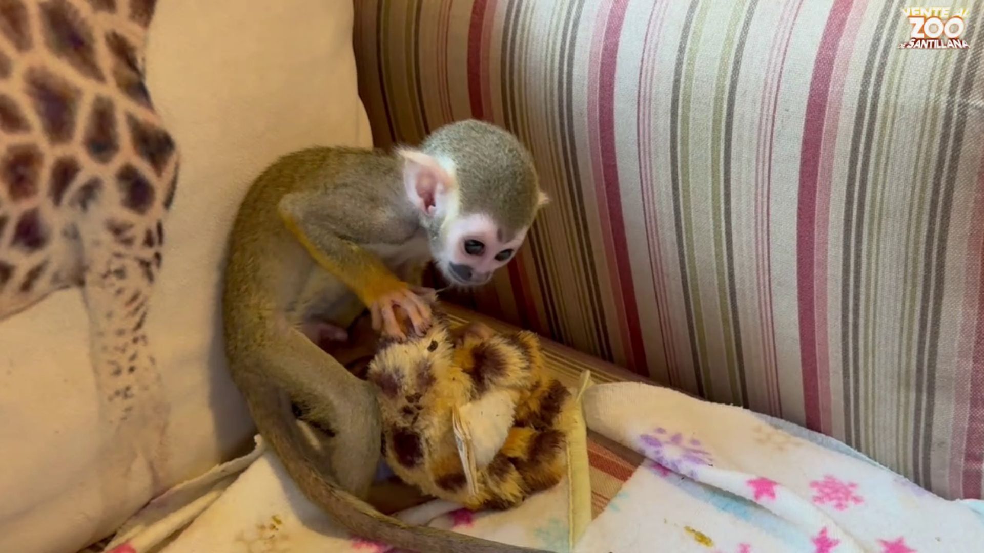 Ritcher tuvo que alimentarse a través de biberones