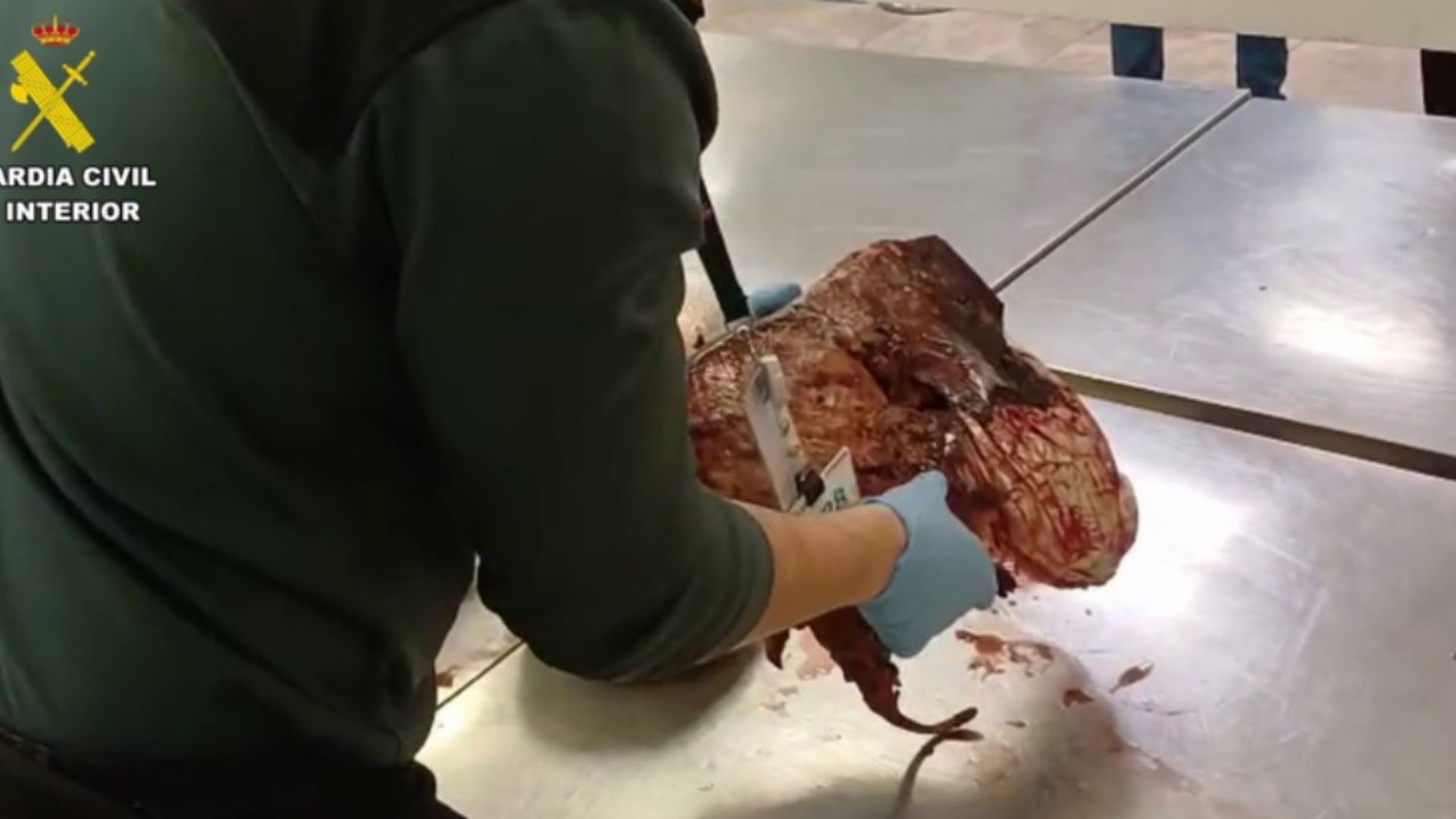 Agentes de la Unidad Fiscal y de Fronteras localizaron los ejemplares muertos y envueltos en plástico.