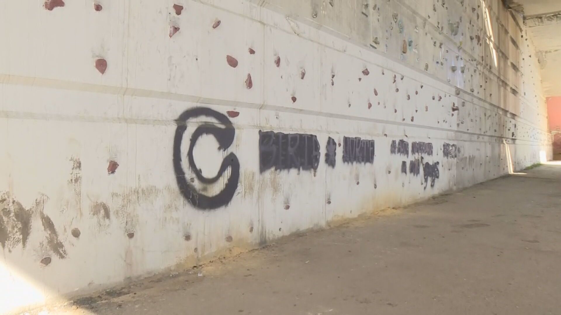 Borran las pintadas que realizaron los Biris en La Cartuja