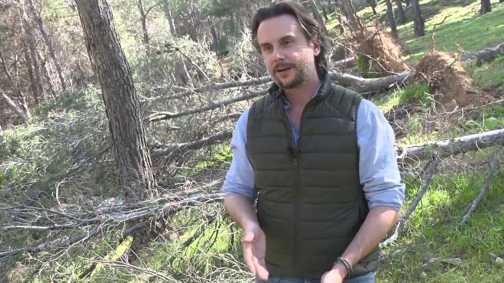 Ganaderos, ingenieros y vecinos urgen limpiar los montes para evitar incendios: "Todo esto son pastillas de encender en unos meses"