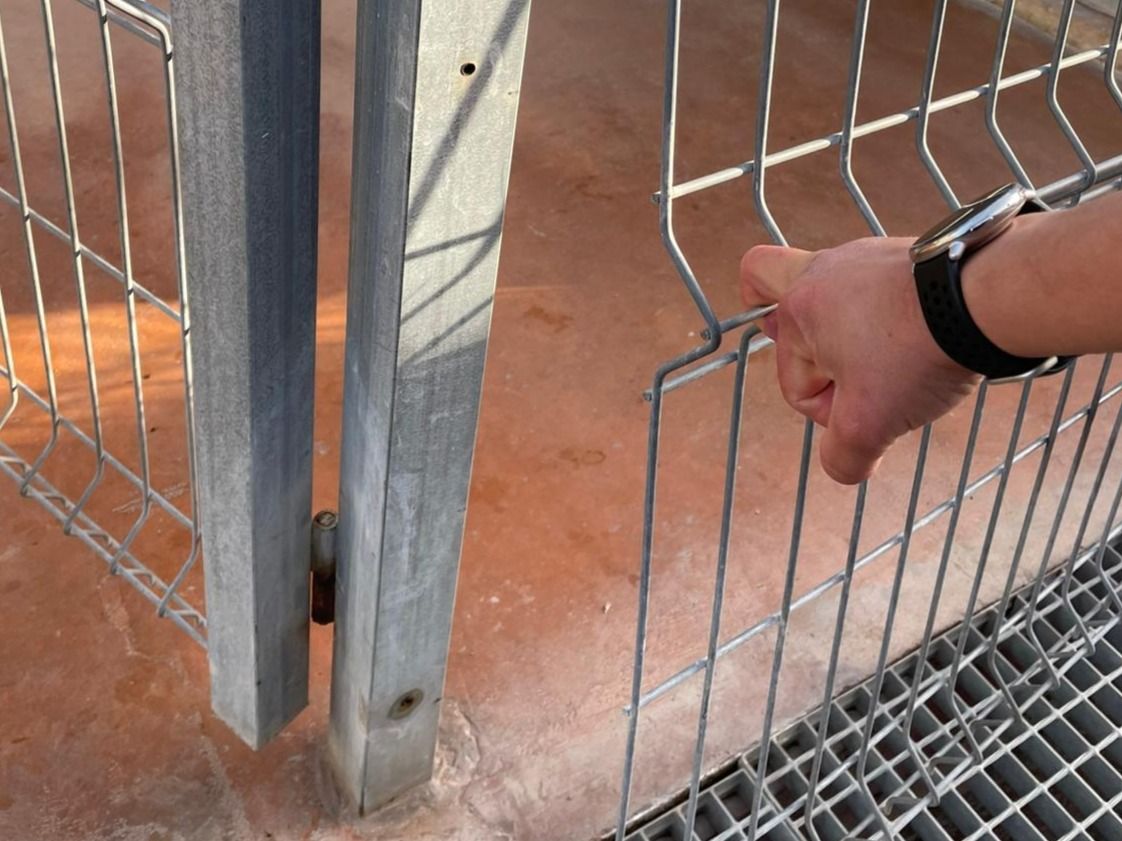 Las dos jaulas de los perros fueron forzadas