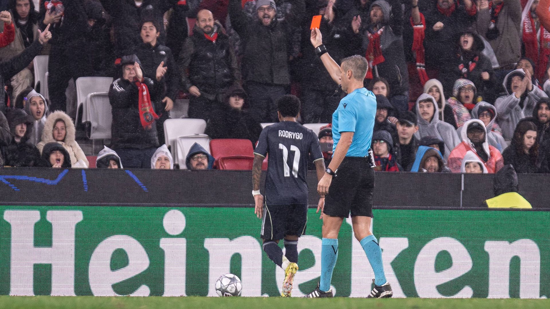 Rodrygo Goes ante el Benfica