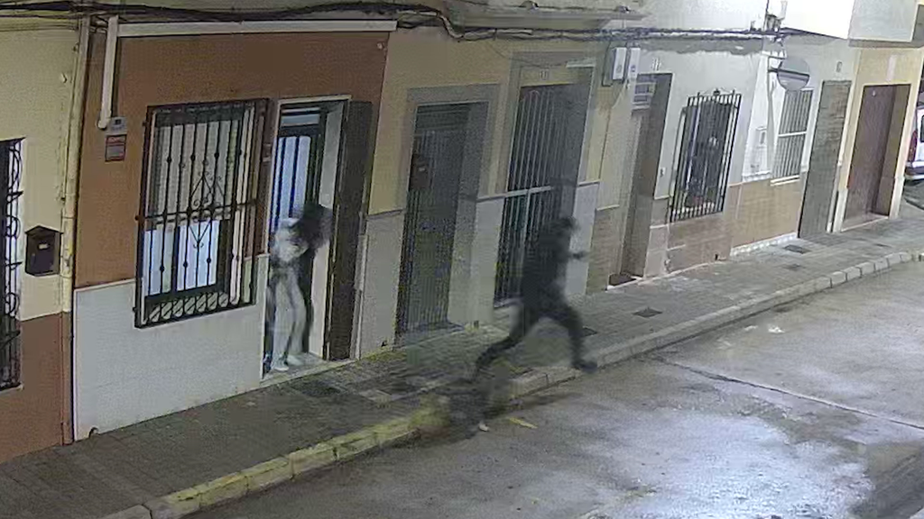 Un perro evita el secuestro de una mujer en Polinyà del Xúquer, Valencia, al abalanzarse y morder a uno de los atacantes