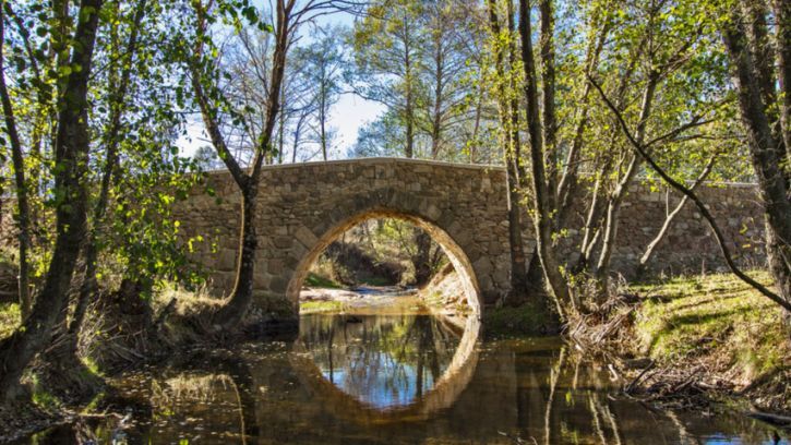 Carlos Lozano vive feliz en la Sierra